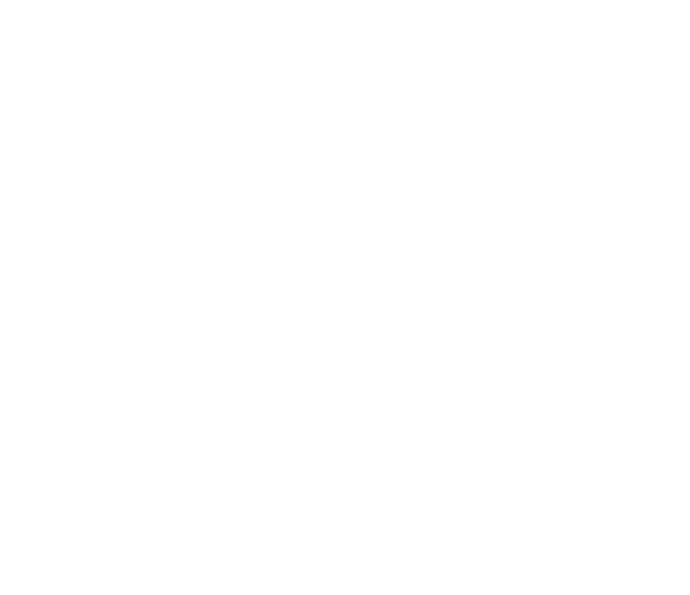SaluteIN Logo